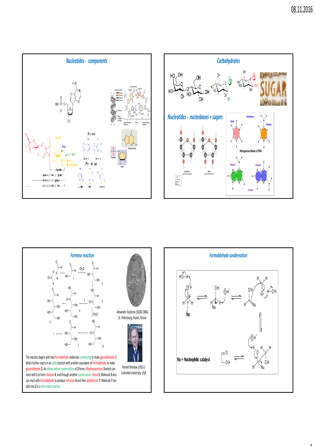 Nucleotides - Components Carbohydrates