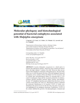 Molecular Phylogeny and Biotechnological Potential of Bacterial Endophytes Associated with Malpighia Emarginata