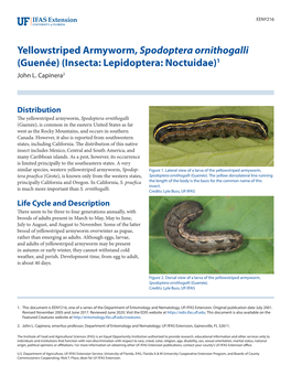 Yellowstriped Armyworm, Spodoptera Ornithogalli (Guenée) (Insecta: Lepidoptera: Noctuidae)1 John L