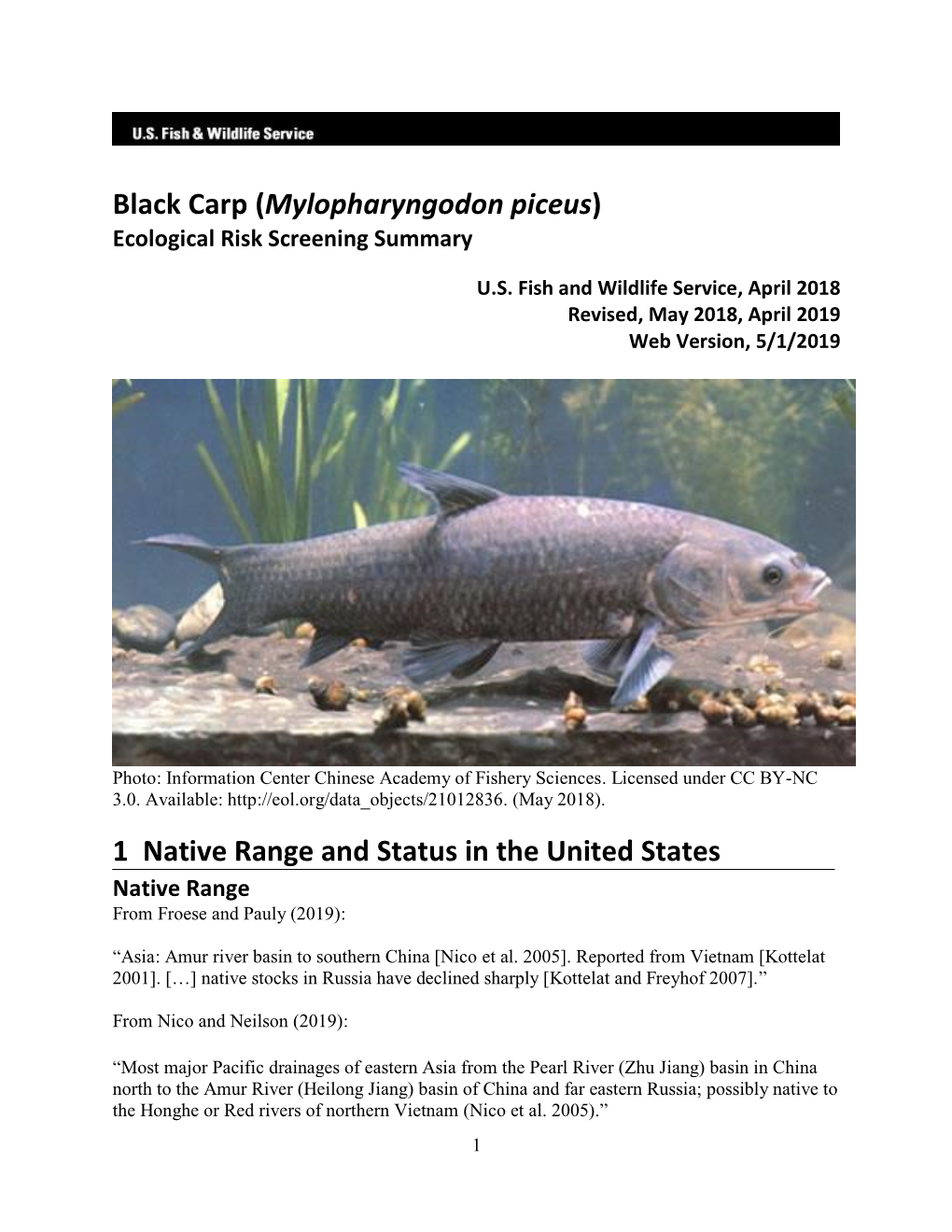 Mylopharyngodon Piceus (Black Carp) Ecological Risk Screening Summary