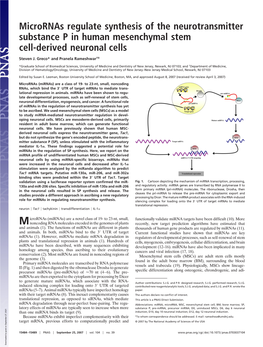 Micrornas Regulate Synthesis of the Neurotransmitter Substance P in Human Mesenchymal Stem Cell-Derived Neuronal Cells