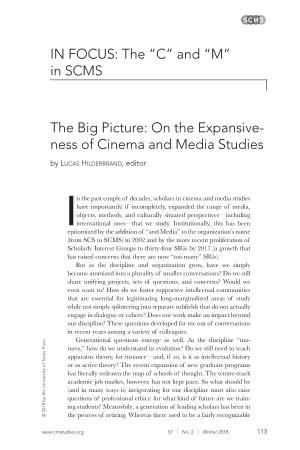 IN FOCUS: the “C” and “M” in SCMS the Big Picture: on the Expansive