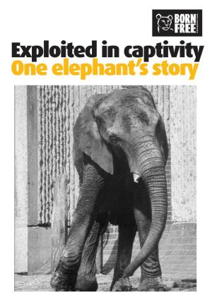 Exploited in Captivity One Elephant's Story