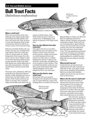 Bull Trout Facts Bull Trout, (Salvelinus Confluentus) Resident (Stream) Type