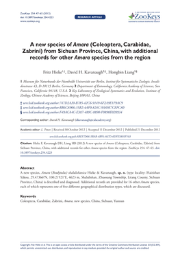 A New Species of Amara (Coleoptera, Carabidae, Zabrini) from Sichuan Province, China, with Additional Records for Other Amara Species from the Region