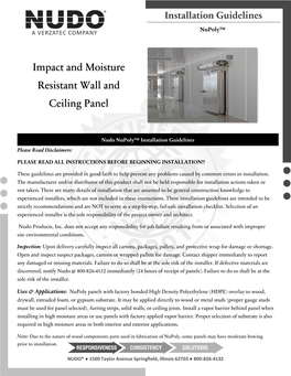 Impact and Moisture Resistant Wall and Ceiling Panel