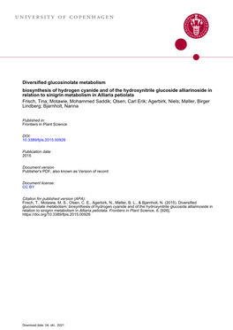 Diversified Glucosinolate Metabolism: Biosynthesis of Hydrogen Cyanide and of the Hydroxynitrile Glucoside Alliarinoside in Rela