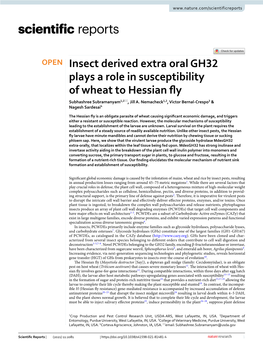 Insect Derived Extra Oral GH32 Plays a Role in Susceptibility of Wheat to Hessian Fy Subhashree Subramanyam1,2*, Jill A