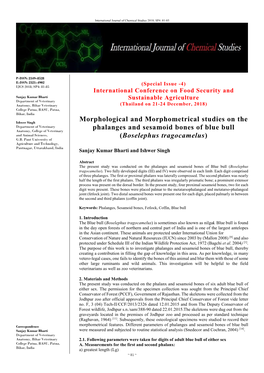 Morphological and Morphometrical Studies on the Phalanges And