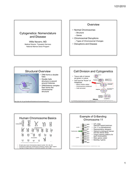 Cytogenetics