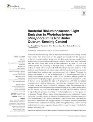 Bacterial Bioluminescence: Light Emission in Photobacterium Phosphoreum Is Not Under Quorum-Sensing Control