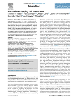 Mechanisms Shaping Cell Membranes