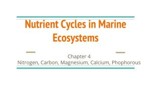 Nutrient Cycles in Marine Ecosystems
