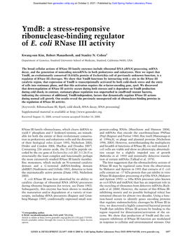 Ymdb: a Stress-Responsive Ribonuclease-Binding Regulator of E