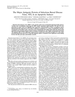The Major Antigenic Protein of Infectious Bursal Disease Virus, VP2, Is an Apoptotic Inducer