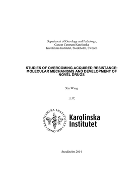 Final Version-Thesis-Xin