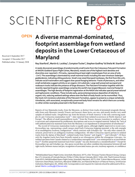 A Diverse Mammal-Dominated, Footprint Assemblage from Wetland