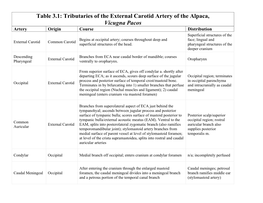 Tributaries of the External Carotid Artery of the Alpaca, Vicugna Pacos