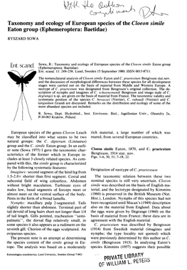 Cloeon Simile Eaton Group (Ephemeroptera: Baetidae)