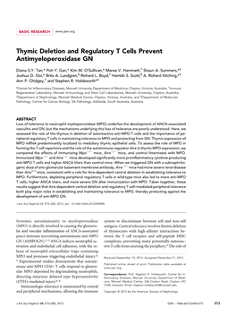 Thymic Deletion and Regulatory T Cells Prevent Antimyeloperoxidase GN