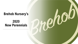 Brehob Nursery's 2020 New Perennials