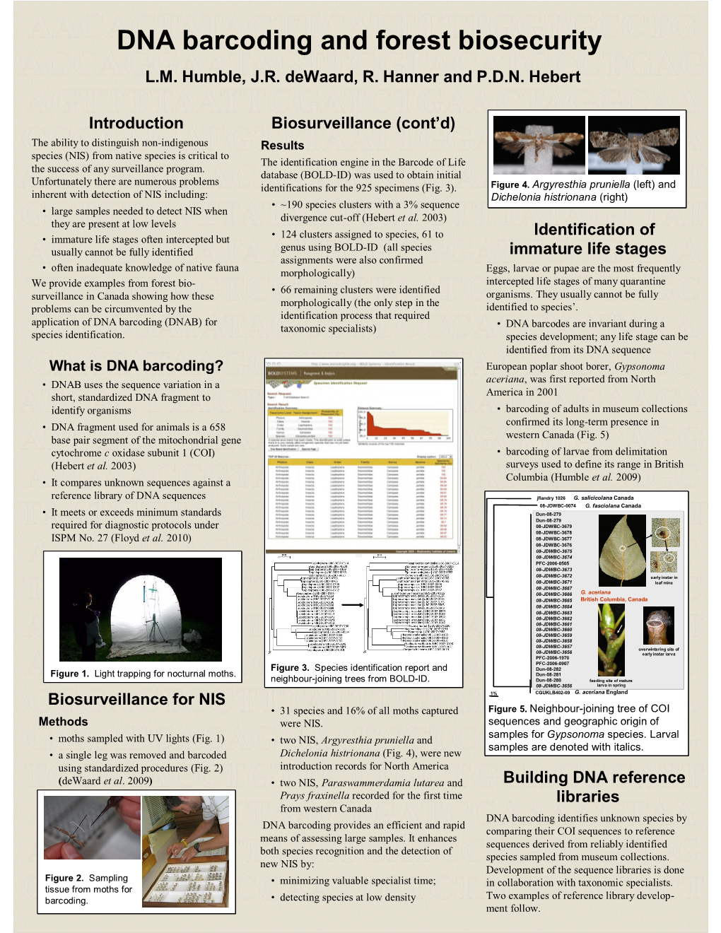 DNA Barcoding and Forest Biosecurity L.M