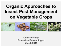 Organic Approaches to Insect Pest Management on Vegetable Crops , Oregon , Oregon Hedstrom Chris Dept