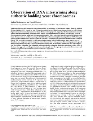 Observation of DNA Intertwining Along Authentic Budding Yeast Chromosomes