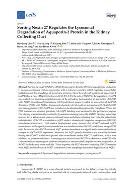 Sorting Nexin 27 Regulates the Lysosomal Degradation of Aquaporin-2 Protein in the Kidney Collecting Duct