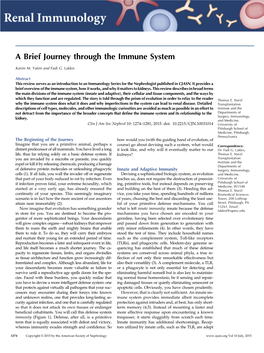 A Brief Journey Through the Immune System