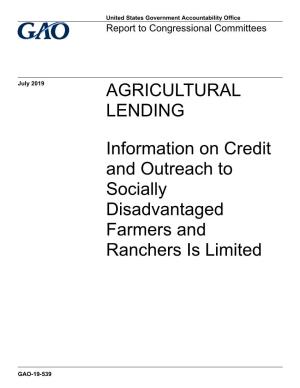 GAO-19-539, AGRICULTURAL LENDING: Information on Credit