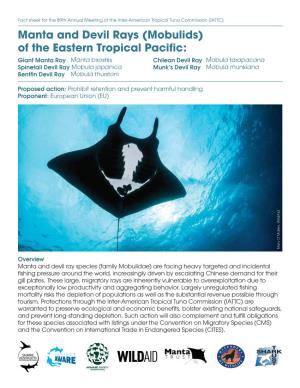 Manta and Devil Rays (Mobulids) of the Eastern Tropical Pacific