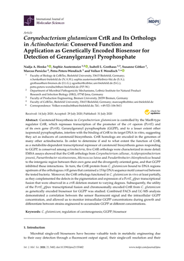 Corynebacterium Glutamicum Crtr and Its Orthologs in Actinobacteria