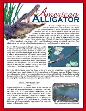 Gator Fact Sheet