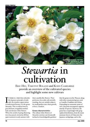Stewartia in Cultivation Er I C Hs U , Ti M O Th Y Bo L a N D and Ko E N Ca M E L Beke Provide an Overview of the Cultivated Species and Highlight Some New Cultivars
