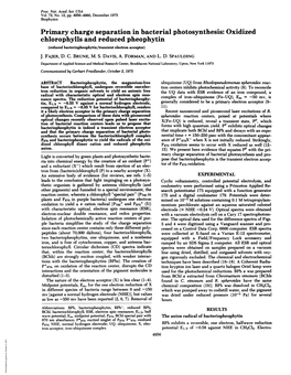 Primary Charge Separation in Bacterial Photosynthesis: Oxidized Chlorophylls and Reduced Pheophytin (Reduced Bacteriopheophytin/Transient Electron Acceptor) J