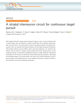 A Striatal Interneuron Circuit for Continuous Target Pursuit