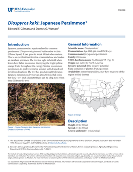 Diospyros Kaki: Japanese Persimmon1 Edward F