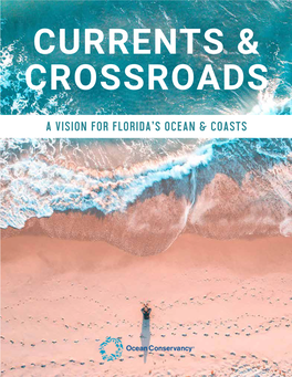 Currents and Crossroad: a Vision for Florida's Ocean and Coasts