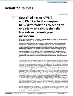 Sustained Intrinsic WNT and BMP4 Activation Impairs Hesc Diferentiation to Defnitive Endoderm and Drives the Cells Towards Extra‑Embryonic Mesoderm C