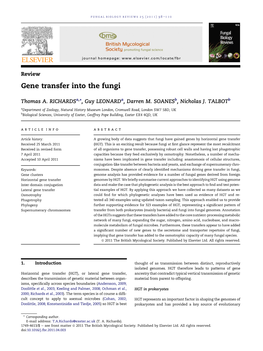 Gene Transfer Into the Fungi