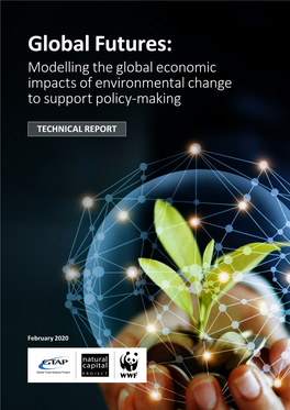 Global Futures: Modelling the Global Economic Impacts of Environmental Change to Support Policy-Making