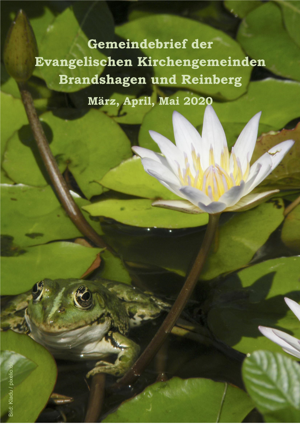 Gemeindebrief Der Evangelischen Kirchengemeinden Brandshagen Und Reinberg