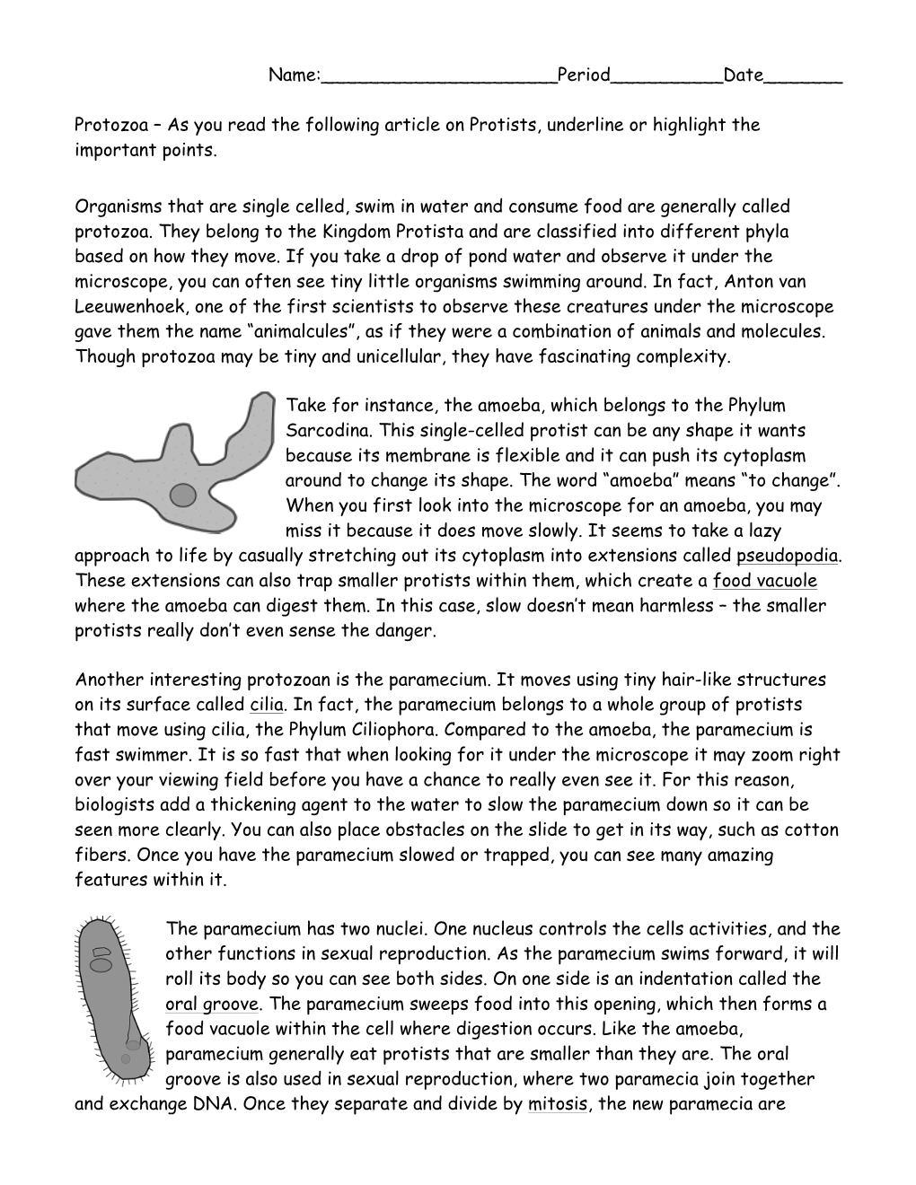 Protist Reading and Response