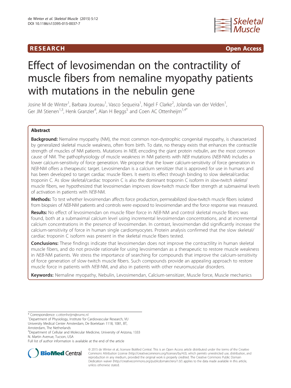 Effect of Levosimendan on the Contractility of Muscle Fibers From