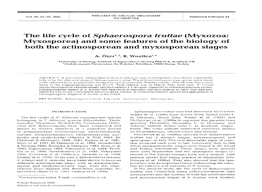 The Life Cycle of Sphaerospora Truttae (Myxozoa: Myxosporea) and Some Features of the Biology of Both the Actinosporean and Myxosporean Stages