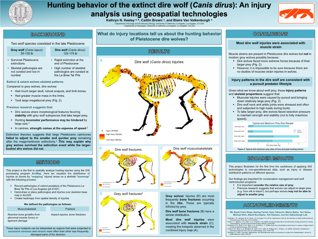 Dire Wolf (Canis Dirus): an Injury Analysis Using Geospatial Technologies Kathryn N