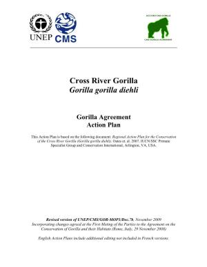 Cross River Gorilla Gorilla Gorilla Diehli