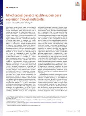Mitochondrial Genetics Regulate Nuclear Gene Expression Through Metabolites COMMENTARY Jessica L