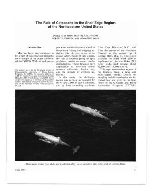 The Role of Cetaceans in the Shelf-Edge Region of the Northeastern United States
